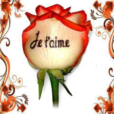 je t'aime