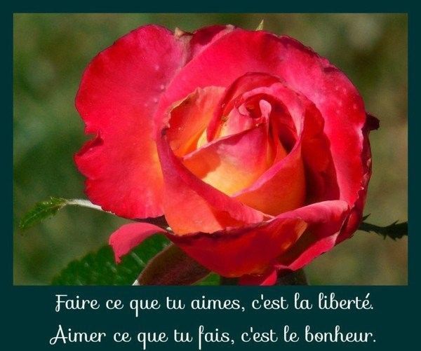 aimer..................