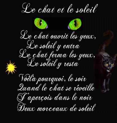 le chat & le soleil