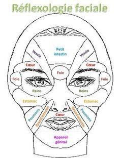 réflexiologie faciale