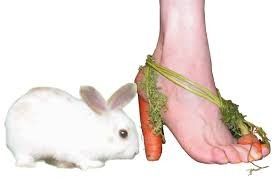 chaussure carotte