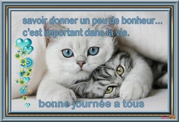 bonne journée