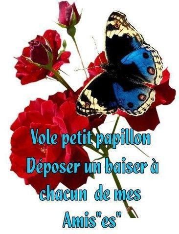 vole papillon ................