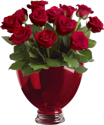 roses rouges en vase rouge