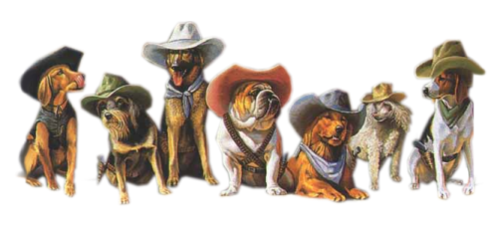 chiens avec leurs chapeaux