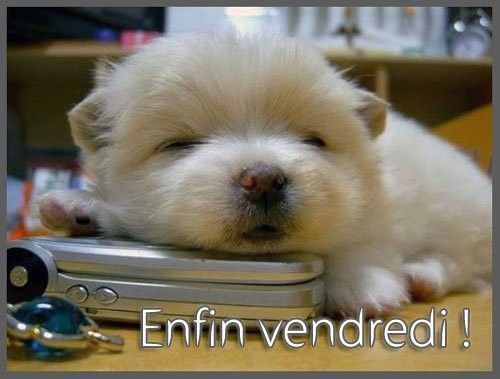 enfin vendredi