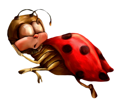 coccinelle