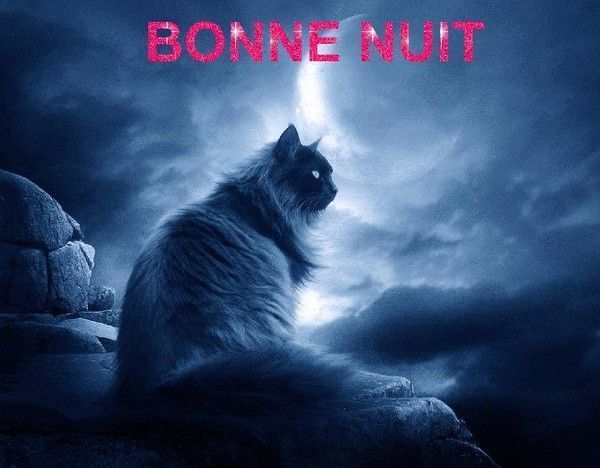 bonne nuit