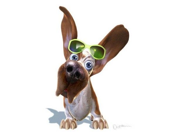 chien avec ses lunettes