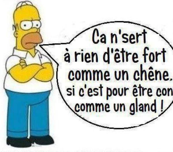 humour d'homer