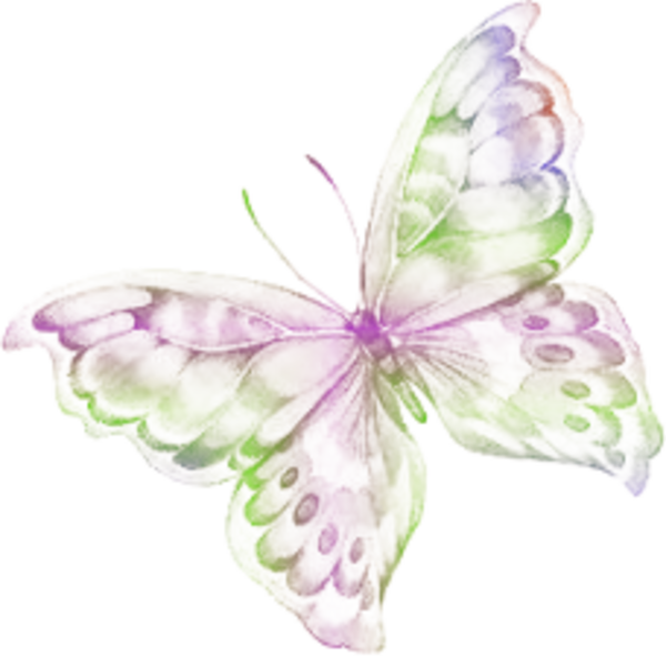 papillon pastel