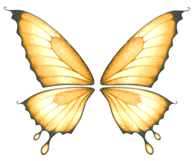ailes de papillons