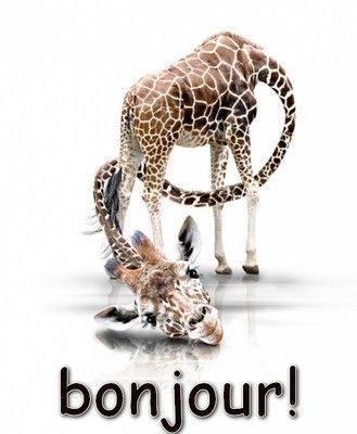 bonjour