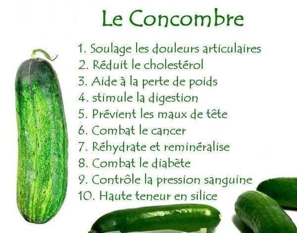 le concombre