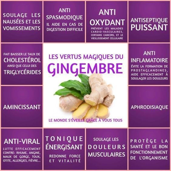 le gingembre et ses bienfaits