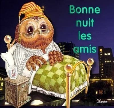 bonne nuit les amis(e)