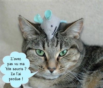 le chat & sa souris