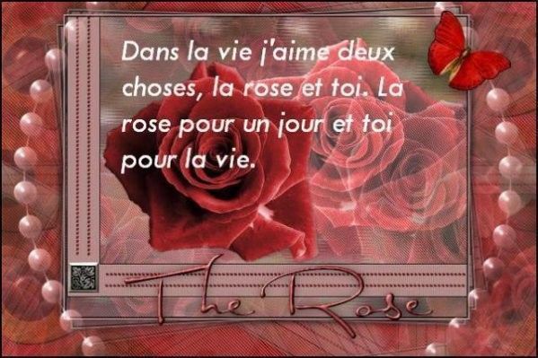 toi & la rose 