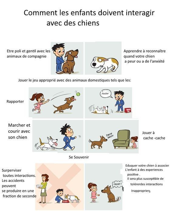 les enfants & le chien