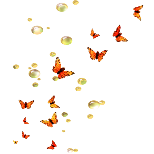 envolée de papillons