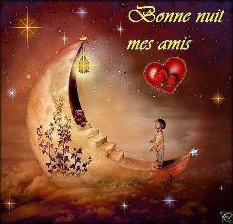 bonne nuit mes amis(e)