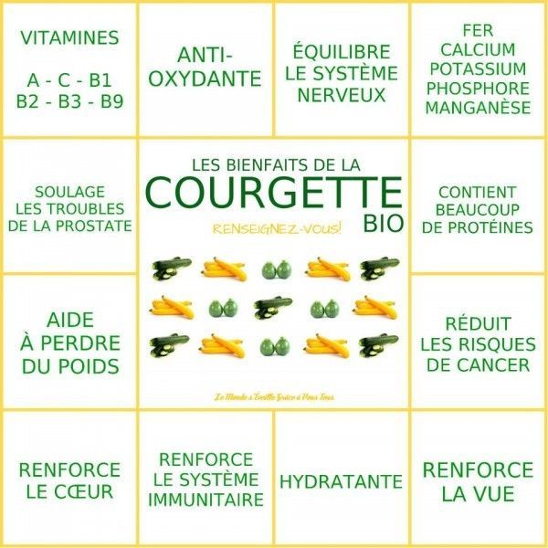 la courgette