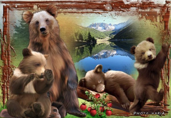 les ours bruns