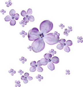 envolée de fleurs violette