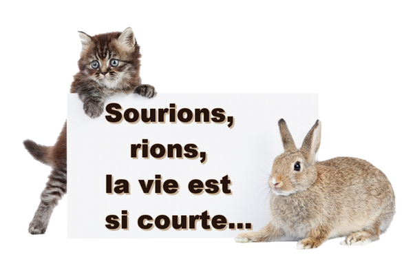 sourions,rions.....................