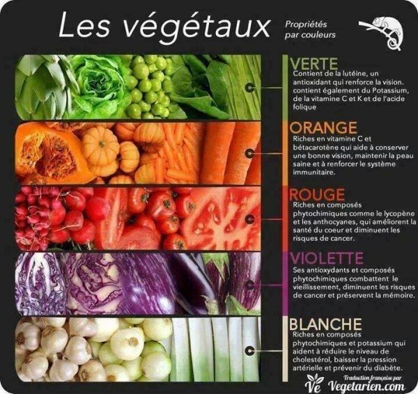 les végétaux propriété par couleurs