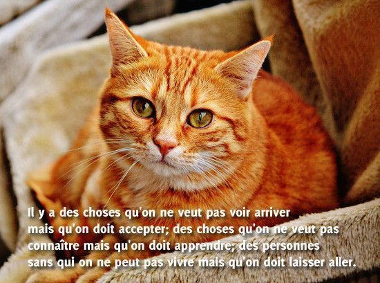 il y des choses ..................