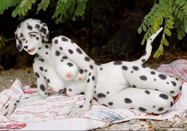 peinture de dalmatien 