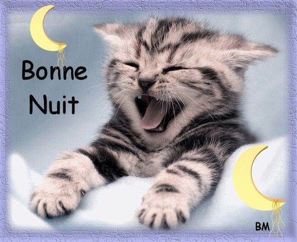 bonne nuit