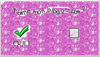 tu aimes ou tu n'aimes pas mon blog