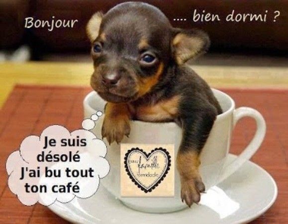 j'ai but tout le café lol !!!