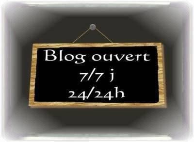 blog ouvert 7 jours /7 24h/24