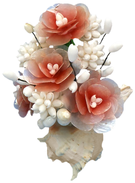 coquillage fleurs