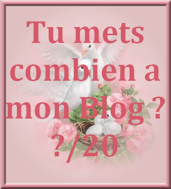 tu mets combien à mon blog