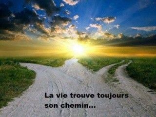 la vie trouve toujours son chemin