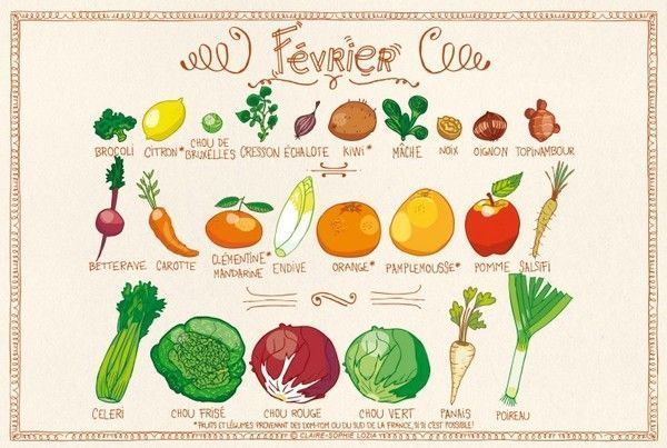 fruits & légumes du mois de fevrier