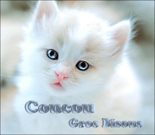 coucou gros bisous