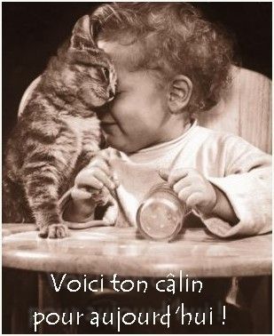 voici ton câlin pour aujourd'hui !