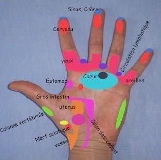 réflexologie de la main 