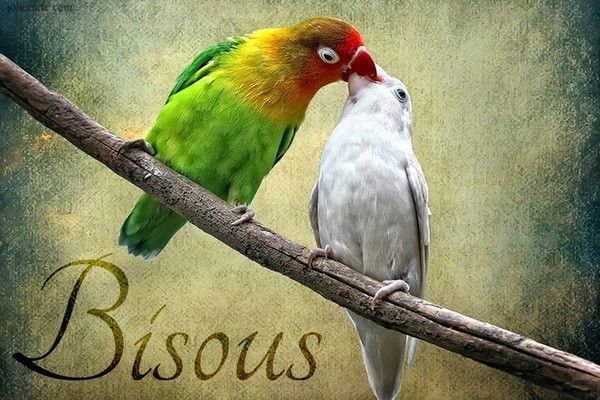 bisous