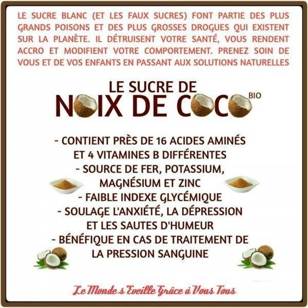 le sucre de noix de coco