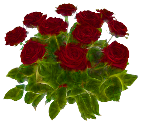 roses rouges