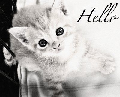 hello !