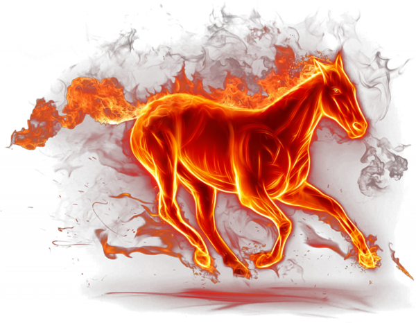 cheval feu