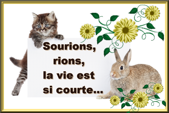 sourions , rions la vie est si courte....