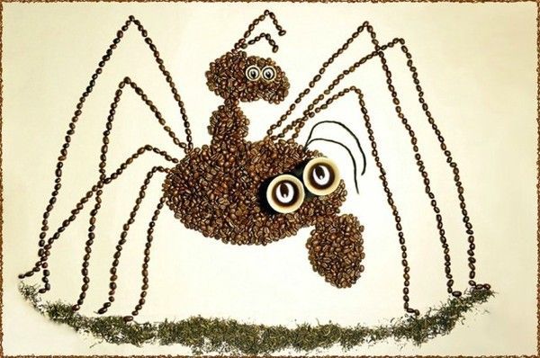 fourmi & araignée